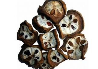 預知子是什么？預知子中藥能治什么病