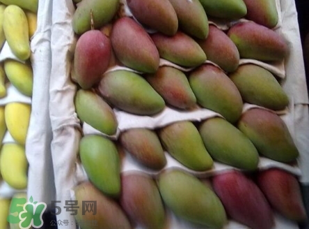 芒果有哪些品種？哪種芒果最好吃？