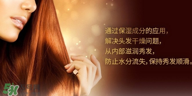 indefinie是什么牌子？indefinie洗發(fā)水怎么樣？