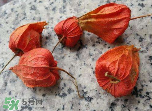 紅姑娘皮是否可泡水喝 紅姑娘皮怎么泡水 紅姑娘皮是否可泡水喝 紅姑娘皮怎么泡水