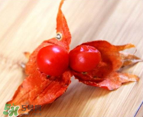 紅姑娘皮是否可泡水喝 紅姑娘皮怎么泡水 紅姑娘皮是否可泡水喝 紅姑娘皮怎么泡水