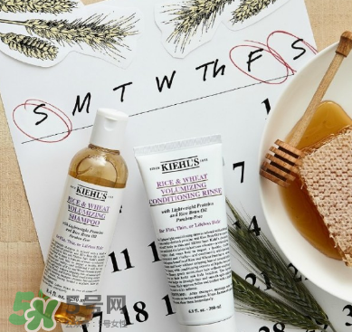 全方位開扒歐萊雅，原來這些都是她家的！