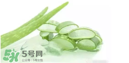 蘆薈怎么吃？蘆薈番茄湯的做法 