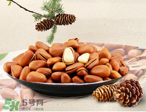 松子什么時(shí)候成熟？松子什么時(shí)候吃最好