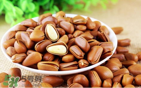 松子什么時(shí)候成熟？松子什么時(shí)候吃最好