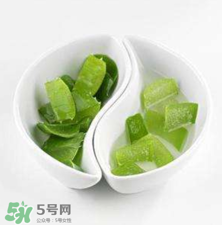 新鮮的蘆薈怎么吃？蘆薈的多種吃法