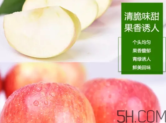 美八蘋果價格多少錢？美八蘋果多少錢一斤？