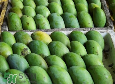 芒果有哪些品種？哪種芒果最好吃？