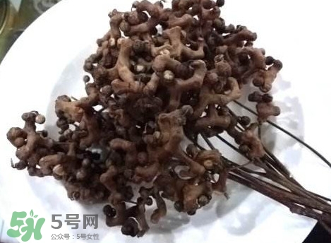 拐棗可以嫁接嗎？拐棗是哪里的特產(chǎn)