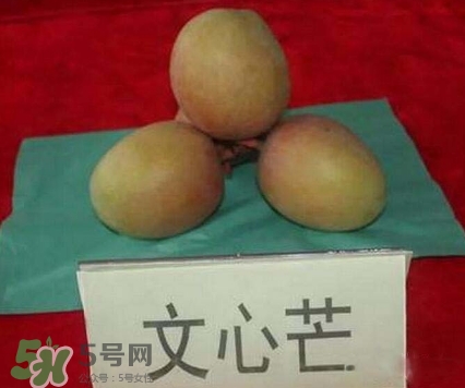 芒果有哪些品種？哪種芒果最好吃？