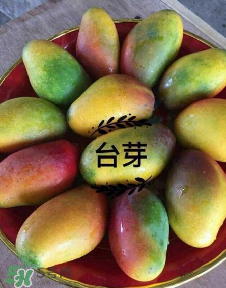 芒果有哪些品種？哪種芒果最好吃？