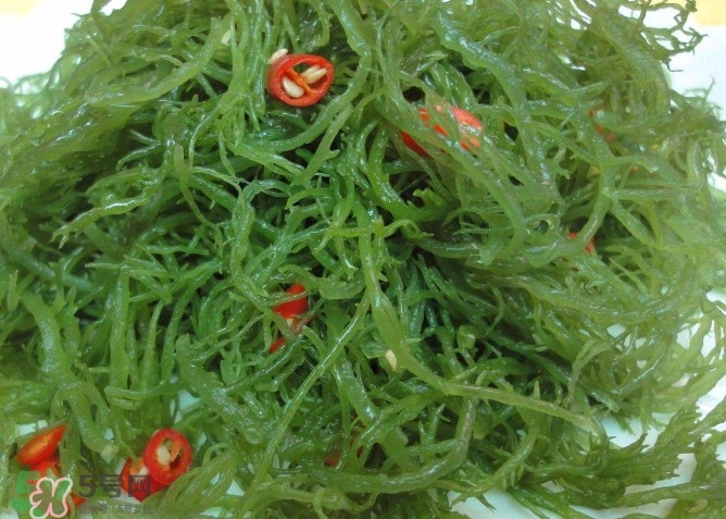 螺旋藻是海帶嗎？螺旋藻是海藻嗎？