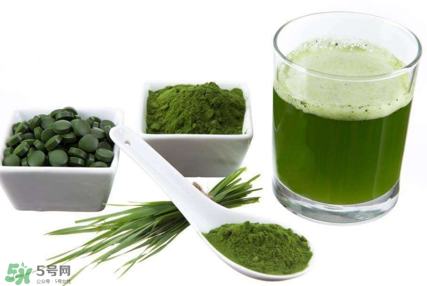 怎么辨別螺旋藻的真假？買螺旋藻怎么挑？