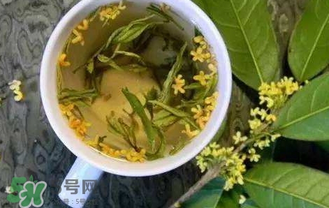 桂花茶怎么泡好喝？桂花茶怎么制作？