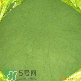 螺旋藻粉怎么吃？螺旋藻粉的功效與作用