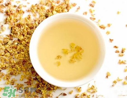 桂花茶怎么泡好喝？桂花茶怎么制作？