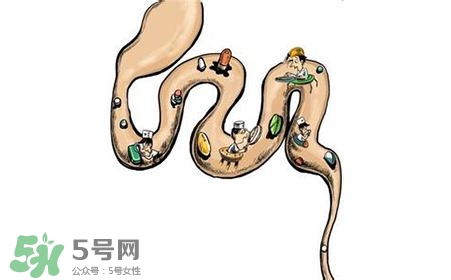 螺旋藻能治胃病嗎？有胃病日常需要注意什么？