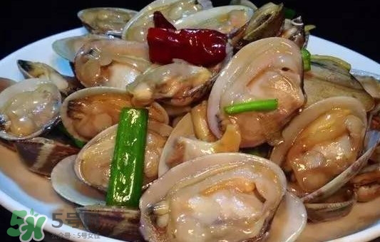 蛤蜊和花甲一樣嗎？蛤蜊和花甲的區(qū)別