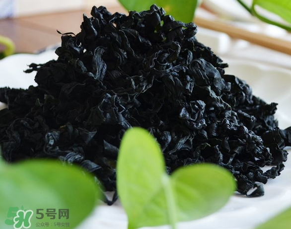 螺旋藻是海帶嗎？螺旋藻是海藻嗎？