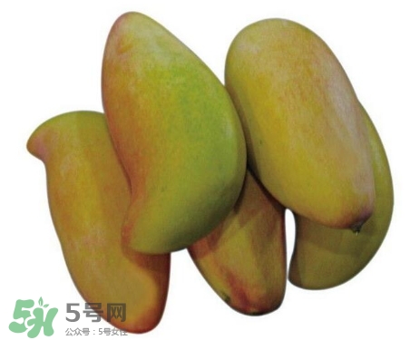 芒果有哪些品種？哪種芒果最好吃？