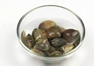 蛤蜊多少錢一斤？2017蛤蜊市場價多少