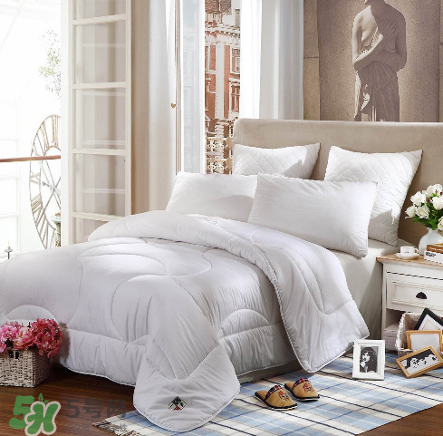 lovo是什么牌子？lovo是什么檔次？