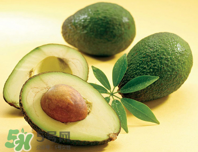 孕婦能吃牛油果嗎？寶寶吃牛油果的壞處