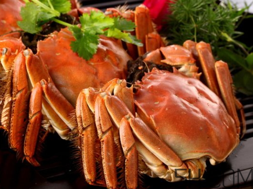 中秋節(jié)送螃蟹好嗎？中秋節(jié)送大閘蟹的寓意