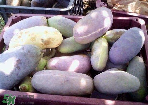 八月瓜可以補腎嗎？八月瓜的營養(yǎng)價值