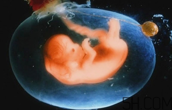 羊水過(guò)少怎么補(bǔ)最快？羊水過(guò)少怎么治療？