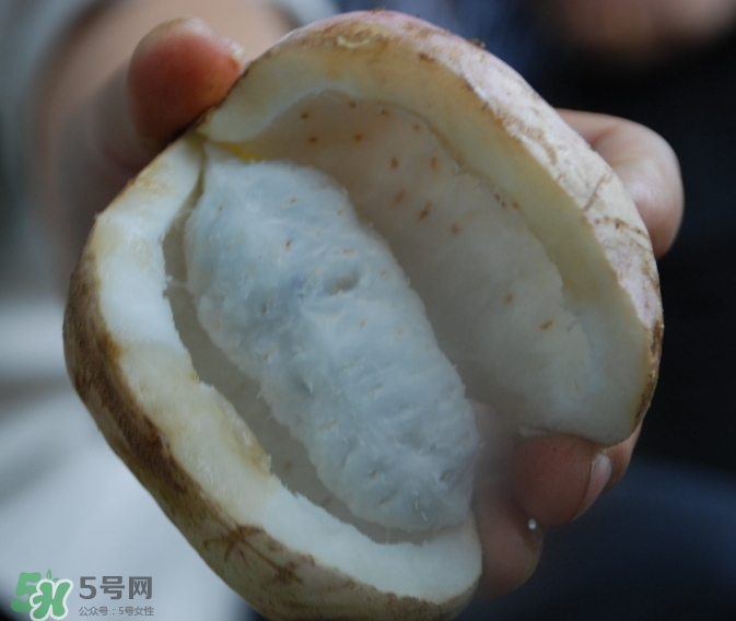 八月瓜可以經(jīng)常吃嗎？八月瓜可以多吃嗎？