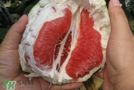 紅肉蜜柚可以儲存多久？紅肉蜜柚怎么挑選