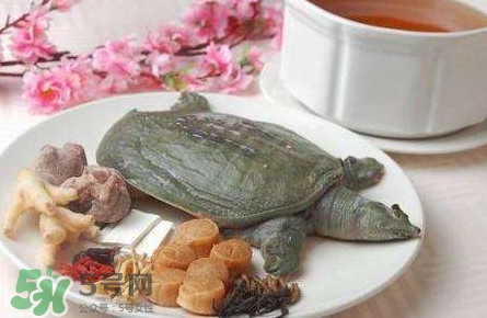 腳魚是什么？腳魚和烏龜?shù)膮^(qū)別