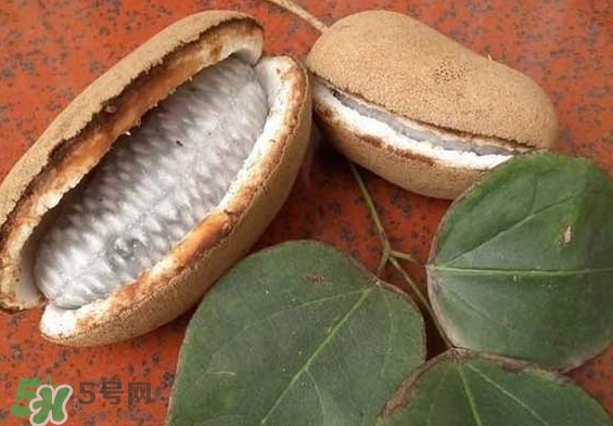 八月瓜能放冰箱嗎？八月瓜怎么保存？