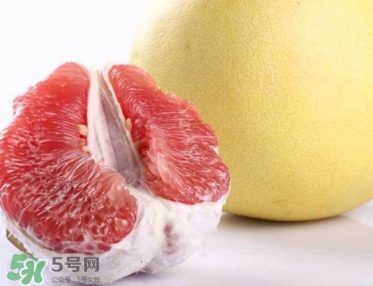 紅肉蜜柚是哪里產(chǎn)的？紅肉蜜柚的種植技術(shù)