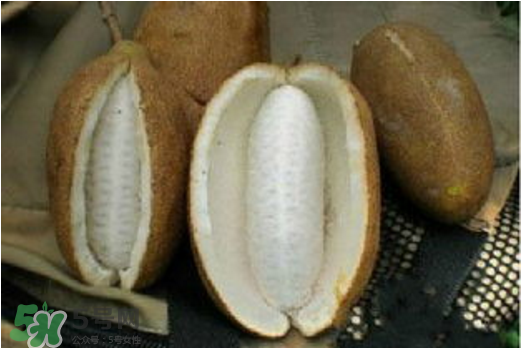 八月瓜可以美容嗎？八月瓜怎么吃有美容效果？