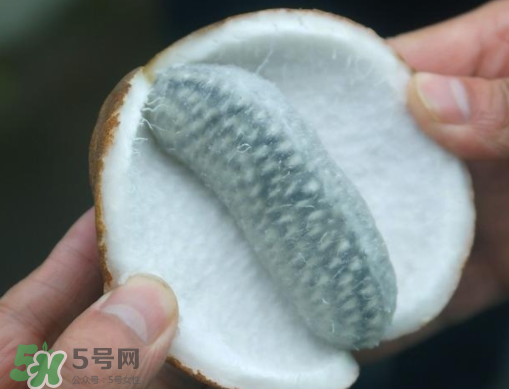 八月瓜可以補腎嗎？八月瓜的營養(yǎng)價值