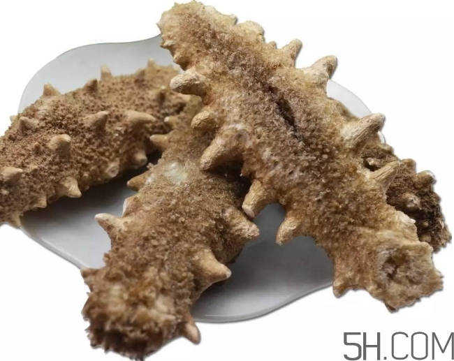 海參顏色深好還是淺好？海參顏色發(fā)白時(shí)怎么回事？