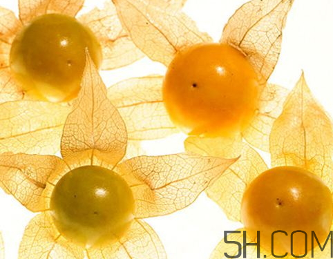 姑娘果好吃嗎 姑娘果什么味道 姑娘果好吃嗎 姑娘果什么味道