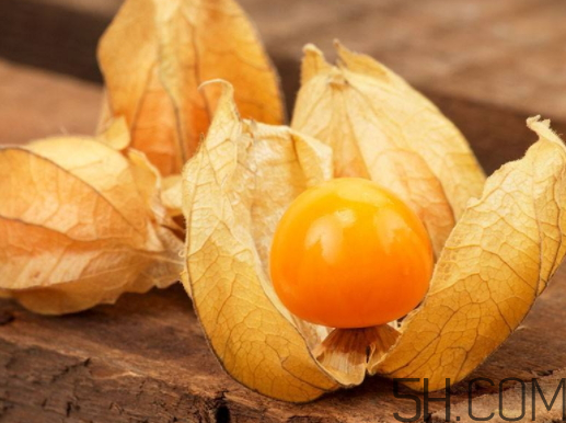 姑娘果能多吃嗎？姑娘果一次吃多少？