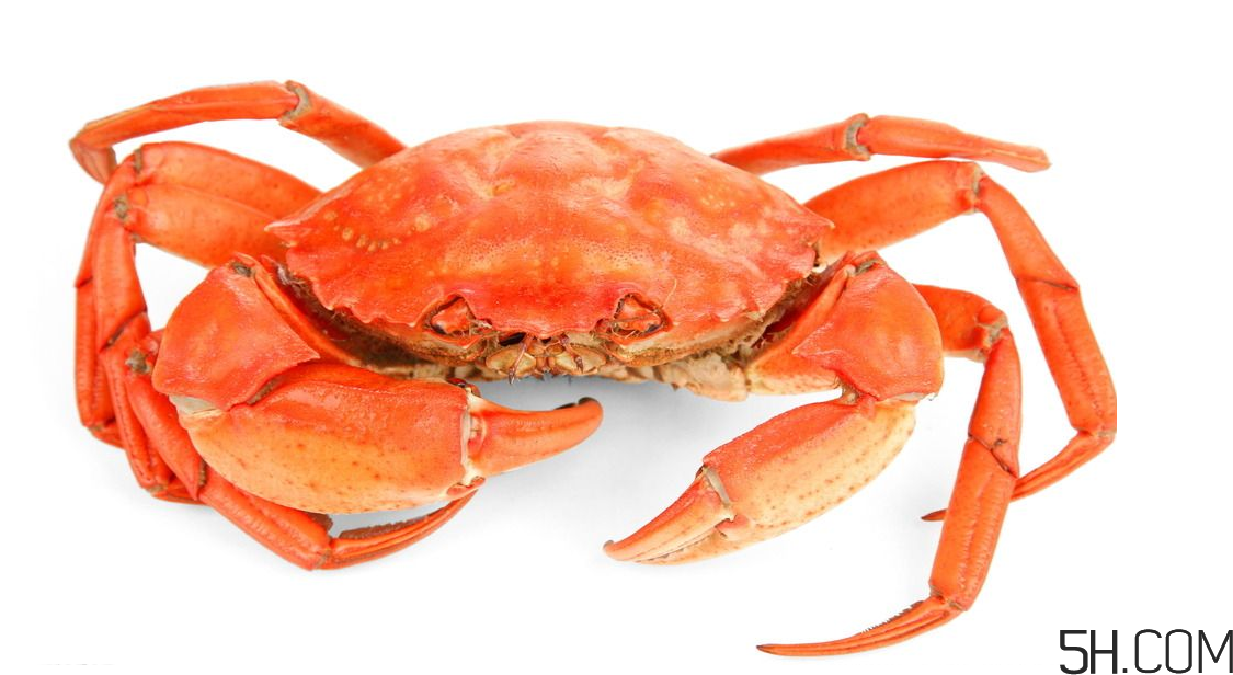 螃蟹煮多久？螃蟹的價格