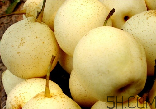 雪梨可以放冰箱嗎？雪梨怎么保存？