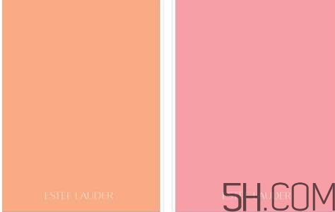 象牙白是什么顏色？象牙白是黃調(diào)還是粉調(diào)