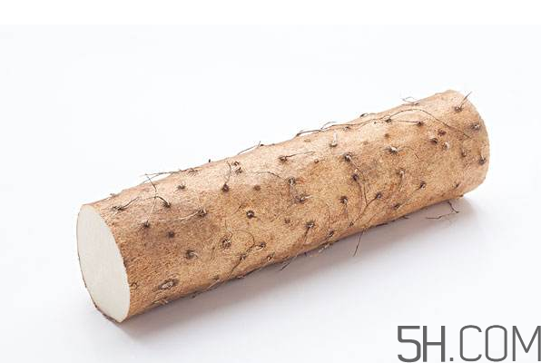 山藥可以每天吃嗎？鐵棍山藥的營(yíng)養(yǎng)價(jià)值是多少？