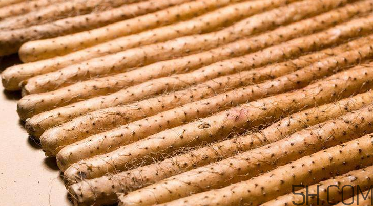 山藥可以每天吃嗎？鐵棍山藥的營(yíng)養(yǎng)價(jià)值是多少？