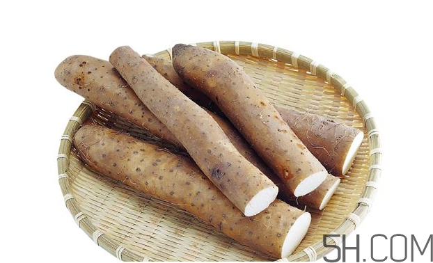 山藥發(fā)芽怎么處理？山藥的功效及作用