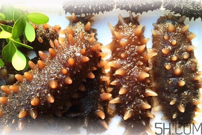 海參能和西紅柿一起吃嗎？海參和什么一起吃最好？