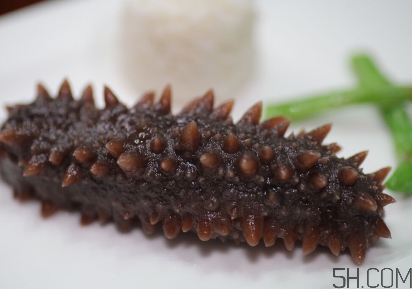 海參是酸性還是堿性？海參是涼性還是熱性？