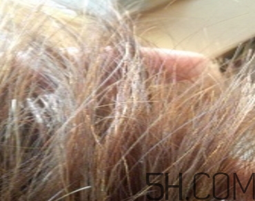 韻之堂是什么牌子？韻之堂洗發(fā)水怎么樣？