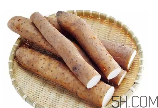 山藥冬天怎么保存不爛？山藥可以和白蘿卜一起吃嗎？
